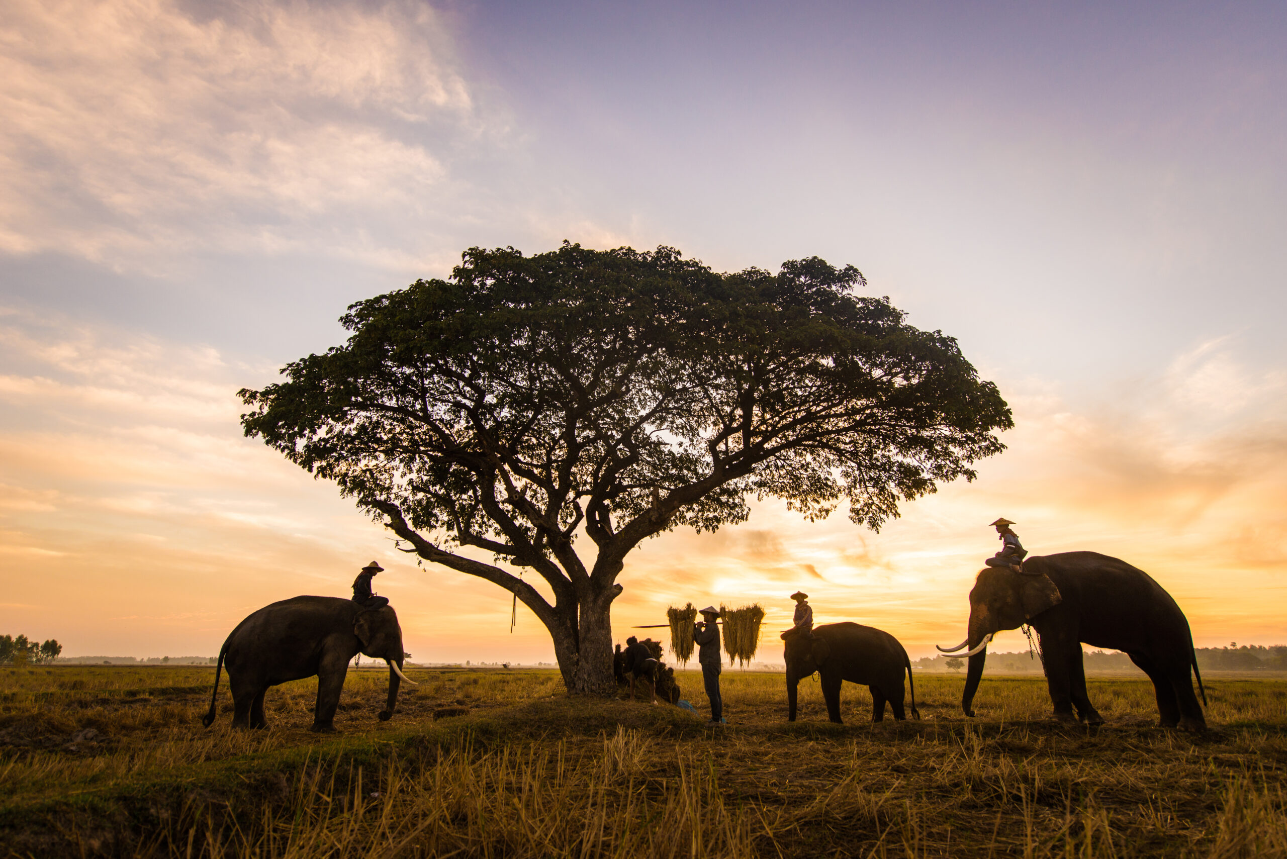 "Italy Tanzania Business Forum": Almawave participates in the mission of Italian entrepreneurs